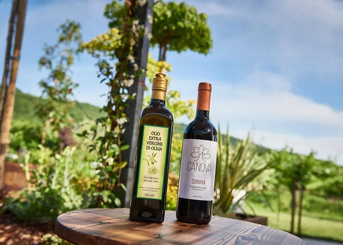 Canova * 内格拉尔